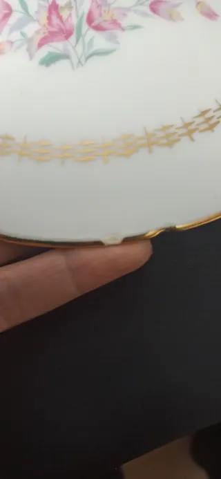 Sopera Limoges porcelana