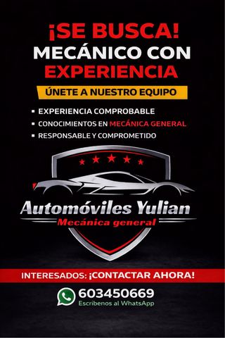 Se busca mecánico con experiencia