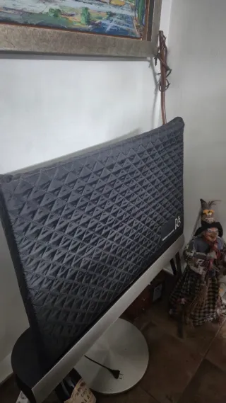 Bang & Olufsen BeoVision 7-32 TV (mando incluido)