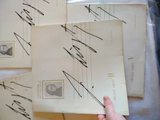 Franz Liszt - I Grandi Musicisti (5 Volumi)