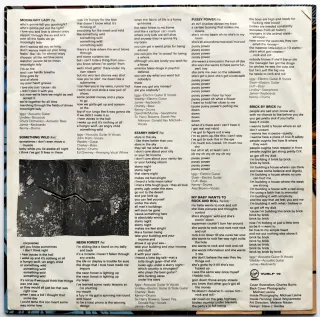 LP 1990 🇪🇺 IGGY POP - BRICK BY BRICK