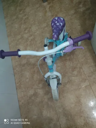 Bicicleta infantil con ruedines