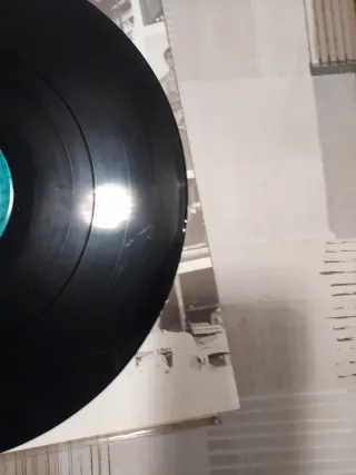 Vinilo Alcohólicos Crónicos Punk Rock