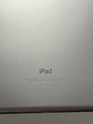 iPad Pro 10.5 A1701 256GB Wifi Plata
