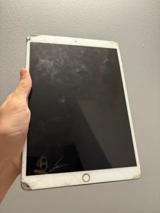 iPad Pro 10.5 A1701 256GB Wifi Plata