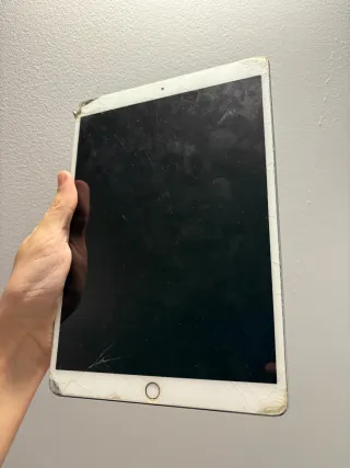 iPad Pro 10.5 A1701 256GB Wifi Plata