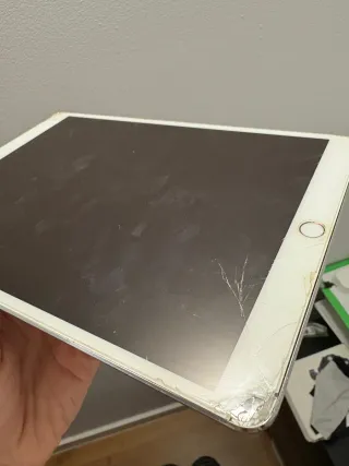 iPad Pro 10.5 A1701 256GB Wifi Plata