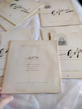 Lotto 7 Vinili G. Rossini I Grandi Musicisti