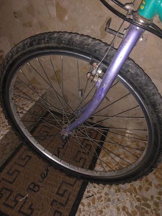 Bicicleta de montaña plateada