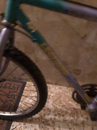 Bicicleta de montaña plateada