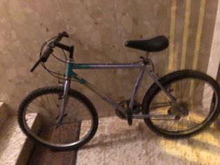 Bicicleta de montaña plateada