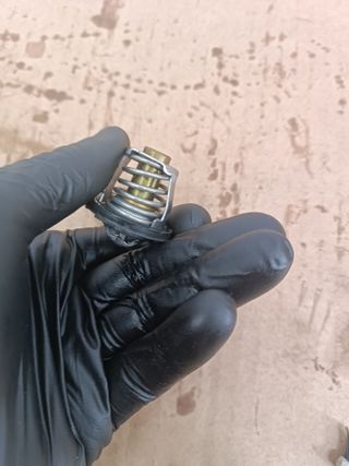 Termostato BMW C400GT C400X 2018-2025 C400