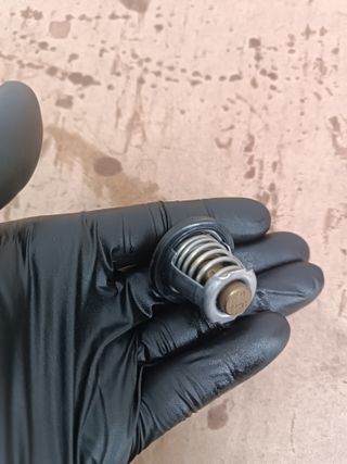 Termostato BMW C400GT C400X 2018-2025 C400