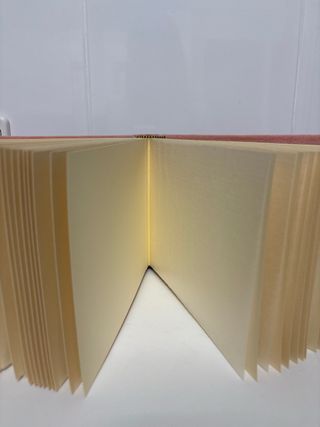 Álbum de fotos infantil