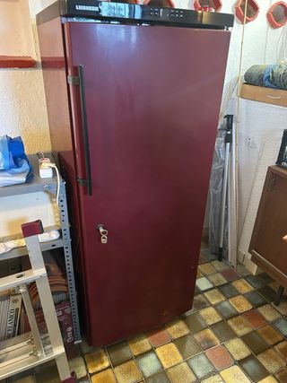 Vinoteca Liebherr Roja