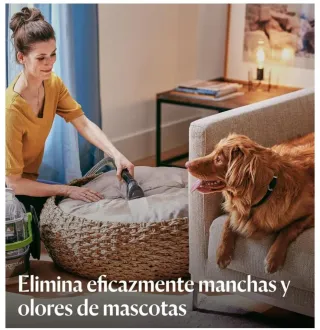 ALQUILER máquina limpia tapicerías