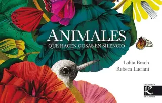 Lote/pack 2 libros infantiles ilustrados
