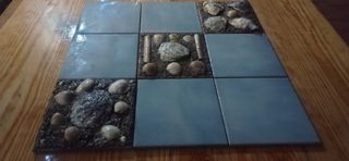 Cuadro Decorativo Conchas Marinas Piedras