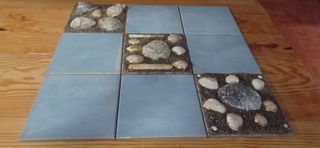 Cuadro Decorativo Conchas Marinas Piedras