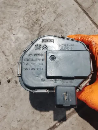 Mariposa Admisión Peugeot Citroen