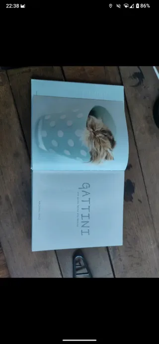 Gattini. Una guida felina alla felicità