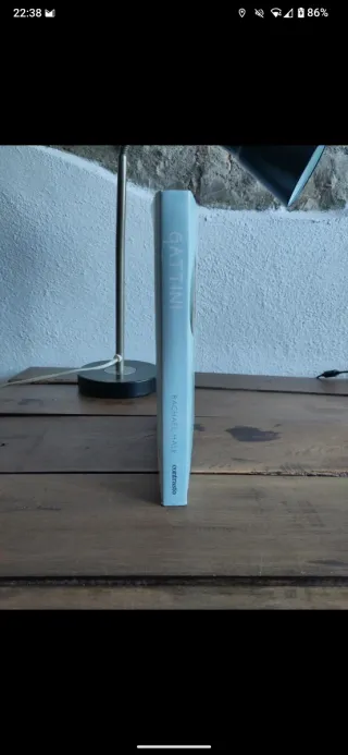 Gattini. Una guida felina alla felicità