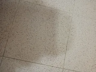 Baldosas de jardín y vivienda