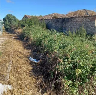 Servicios de jardinería