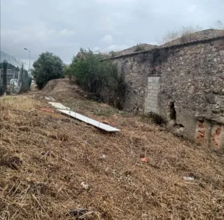 Servicios de jardinería