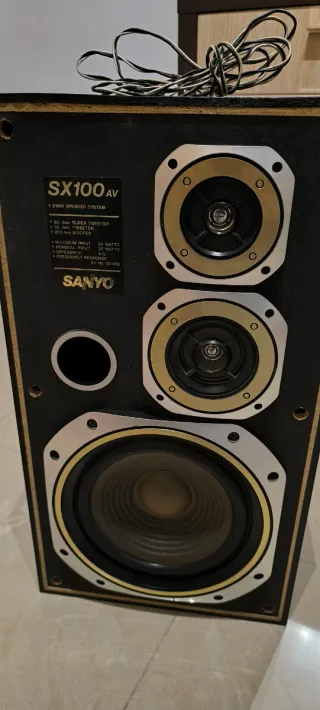 Altavoces Sanyo SX 100