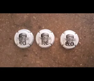 3 Placas Cava TORELLÓ