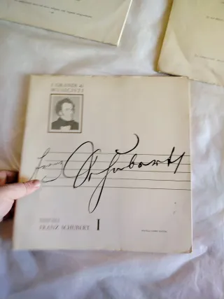 Paganini, Schubert, Čajkovskij - Grandi Musicisti