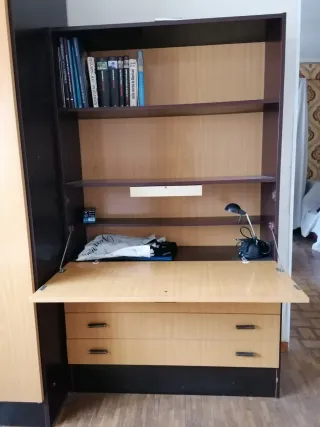 Dormitorio completo . 2 Camas. Armario y Librería