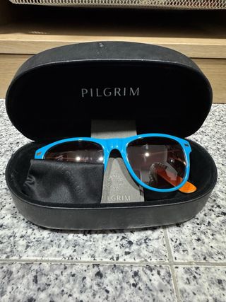 Gafas de sol Pilgrim azules y marrones
