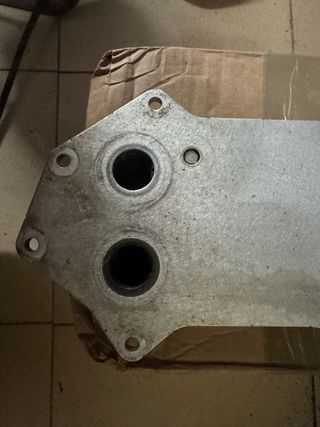 Enfriador Aceite Audi R8 V10 525cv 07L 117 021H