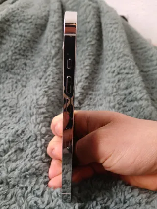 iPhone 13 Pro 256 GB Plateado