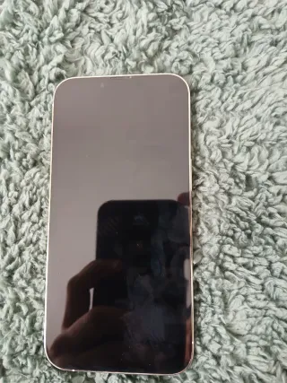 iPhone 13 Pro 256 GB Plateado