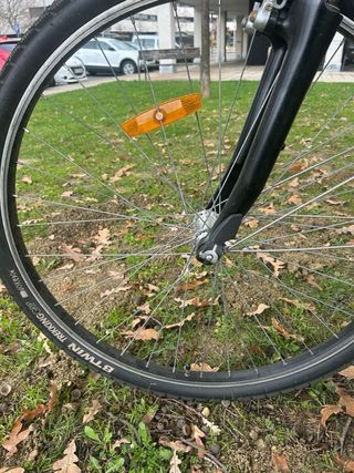 Bicicleta eléctrica paseo