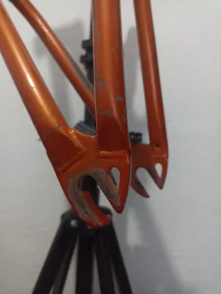 Cuadro BMX Wethepeople Trust