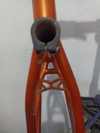 Cuadro BMX Wethepeople Trust