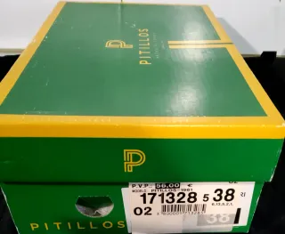 Zapatos salón Pitillos