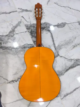 Guitarra Alhambra F7