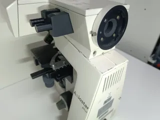 Microscopio Zeiss Axiostar plus