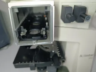 Microscopio Zeiss Axiostar plus