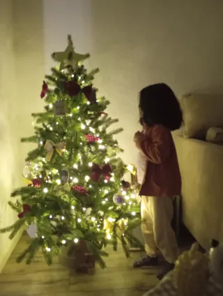 Árbol de Navidad de calidad sin adornos