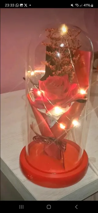 Rosa preservada con luces LED
