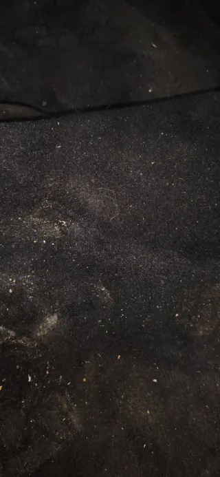 Moqueta Citroen Saxo 2003 Negra