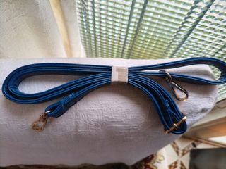 Correa de bolso azul con herrajes dorados