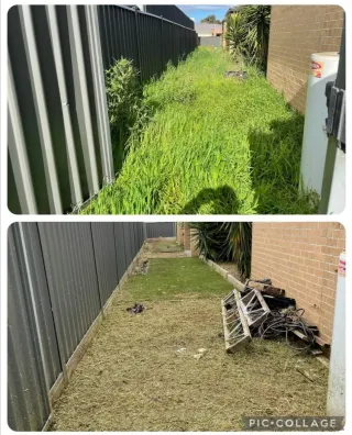 Servicio de jardinería