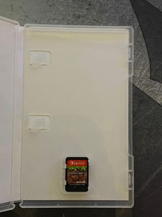 Minecraft Nintendo Switch